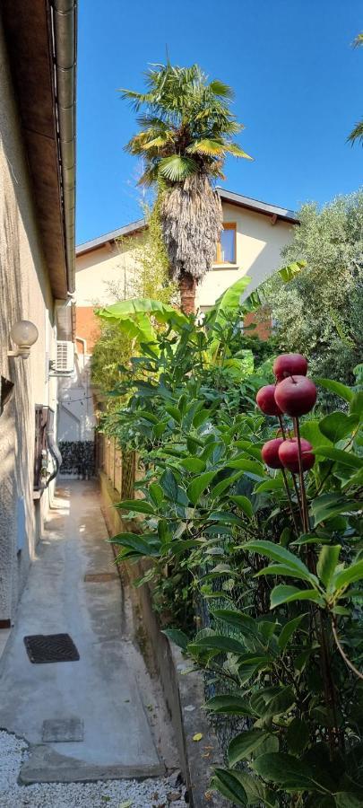 Studio Simone - Terrasse Et Jardin - Tv - Wifi Тулуза Экстерьер фото
