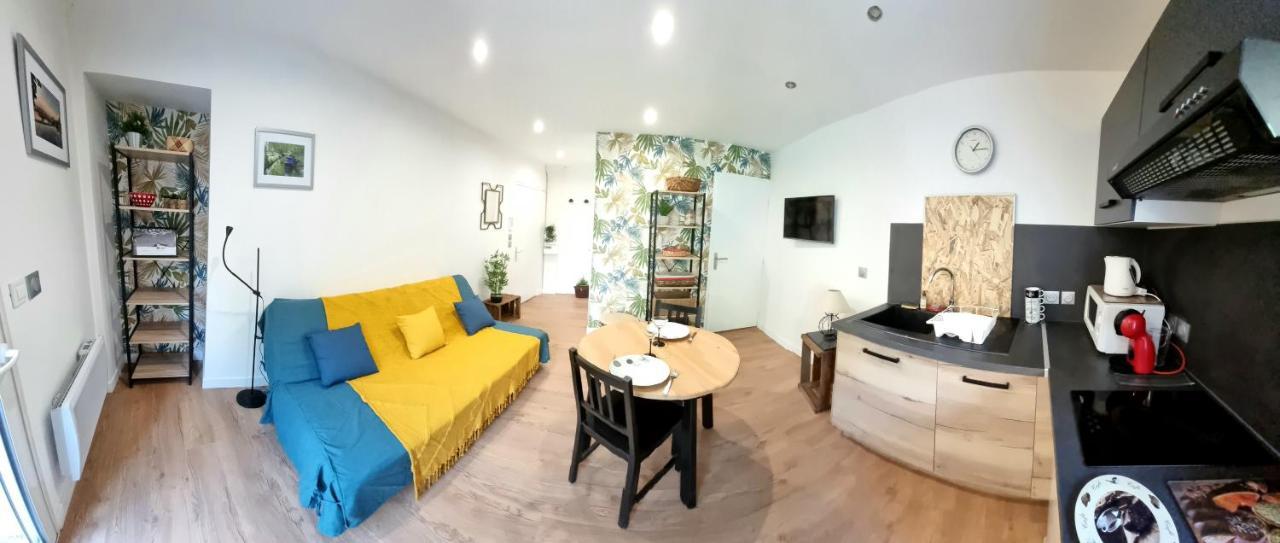 Studio Simone - Terrasse Et Jardin - Tv - Wifi Тулуза Экстерьер фото